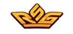 RSG电子